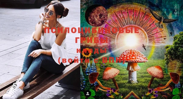 стафф Баксан