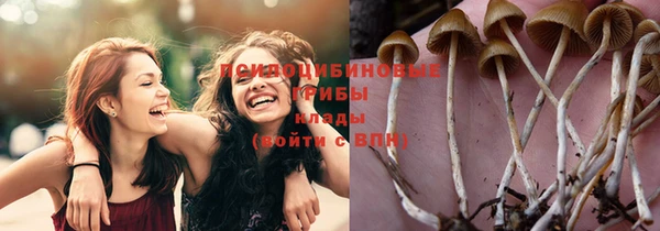 стафф Баксан